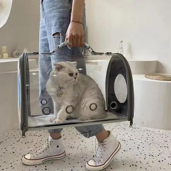 PetCARE TSK-300 átlátszó kisállathordozó táska piros
